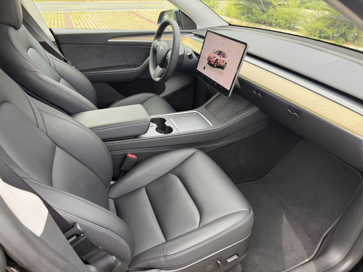 Tesla Model Y 2023 car image #10
