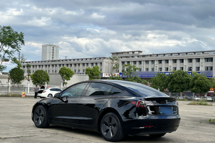 Tesla Model 3 2021 #5 Tesla Model 3 2021 car image #5