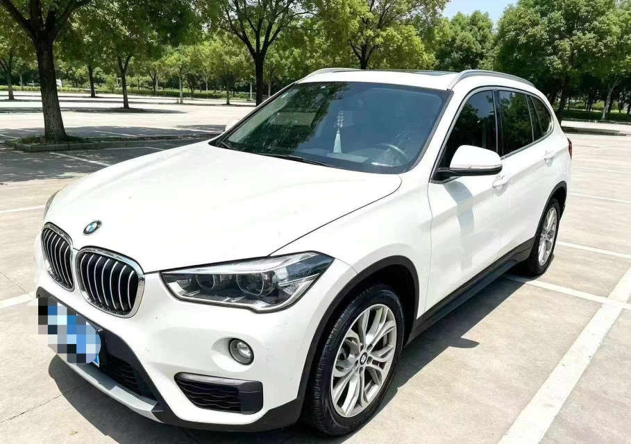BMW X1 2019 BMW X1 2019 car image