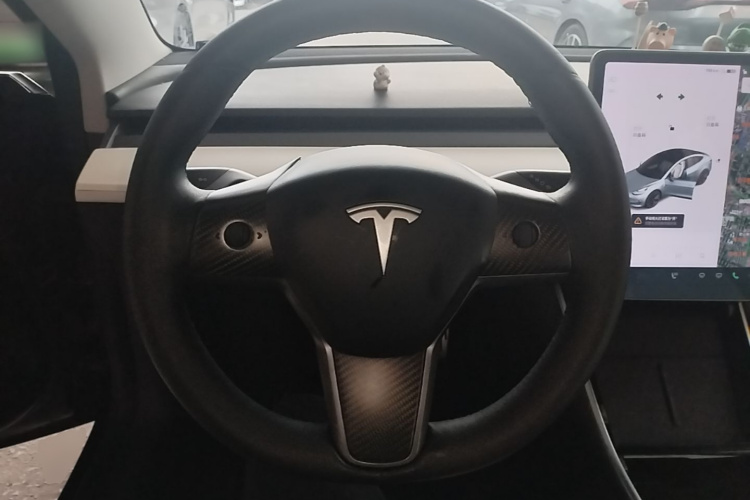 Tesla Model 3 2020 car image #11
