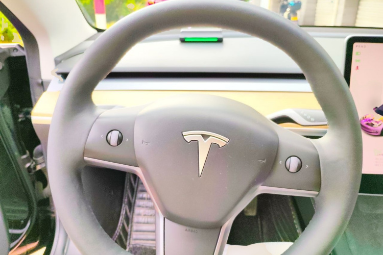 Tesla Model 3 2021 car image #11