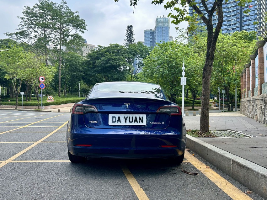 Tesla Model 3 2020 car image #8