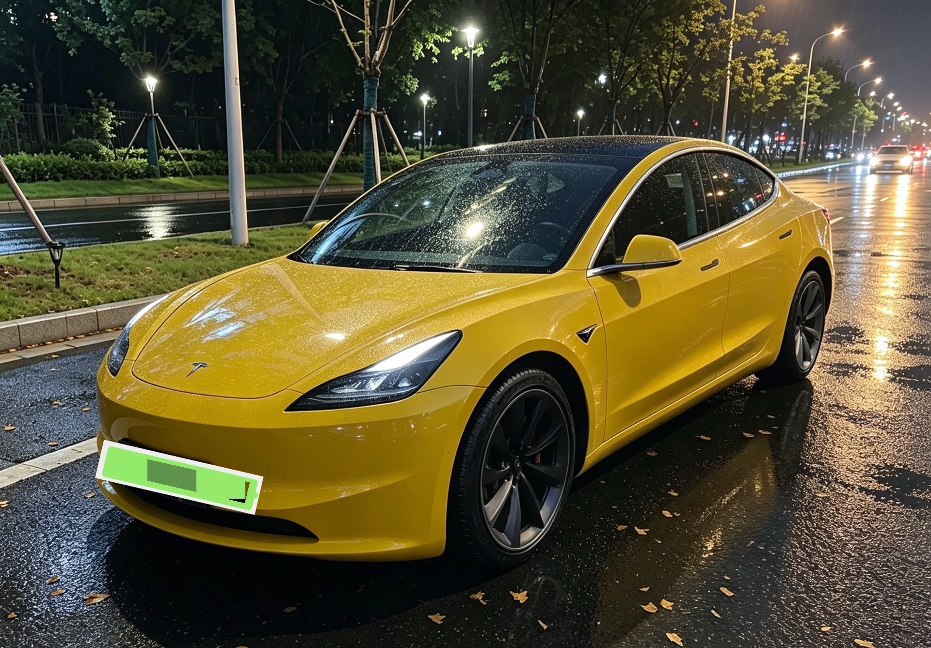 Tesla Model 3 2024 Tesla Model 3 2024 car image