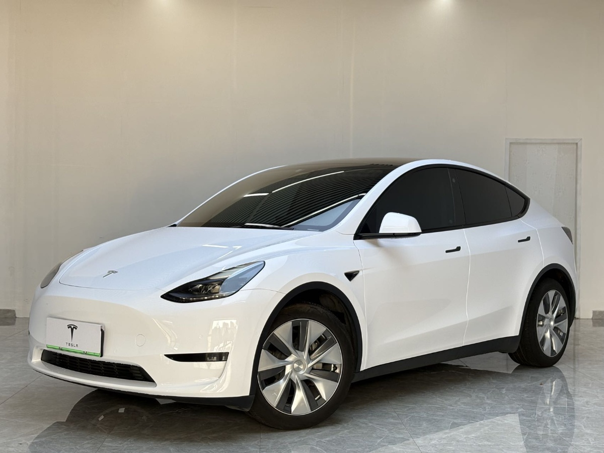 Tesla Model Y 1969 Tesla Model Y 1969 car image