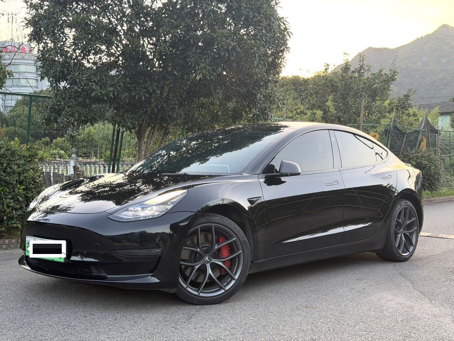 Tesla Model 3 2022 Tesla Model 3 2022 car image