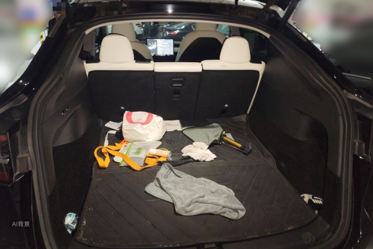 Tesla Model Y 2021 #21 Tesla Model Y 2021 car image #21