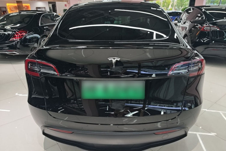 Tesla Model Y 2021 car image #6