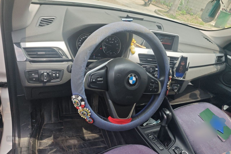 BMW X1 2019 car image #12