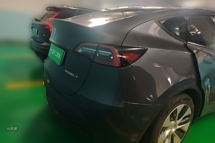 Tesla Model Y 2021 car image #6
