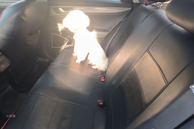 GEELY Emgrand GL 2021 car image #19