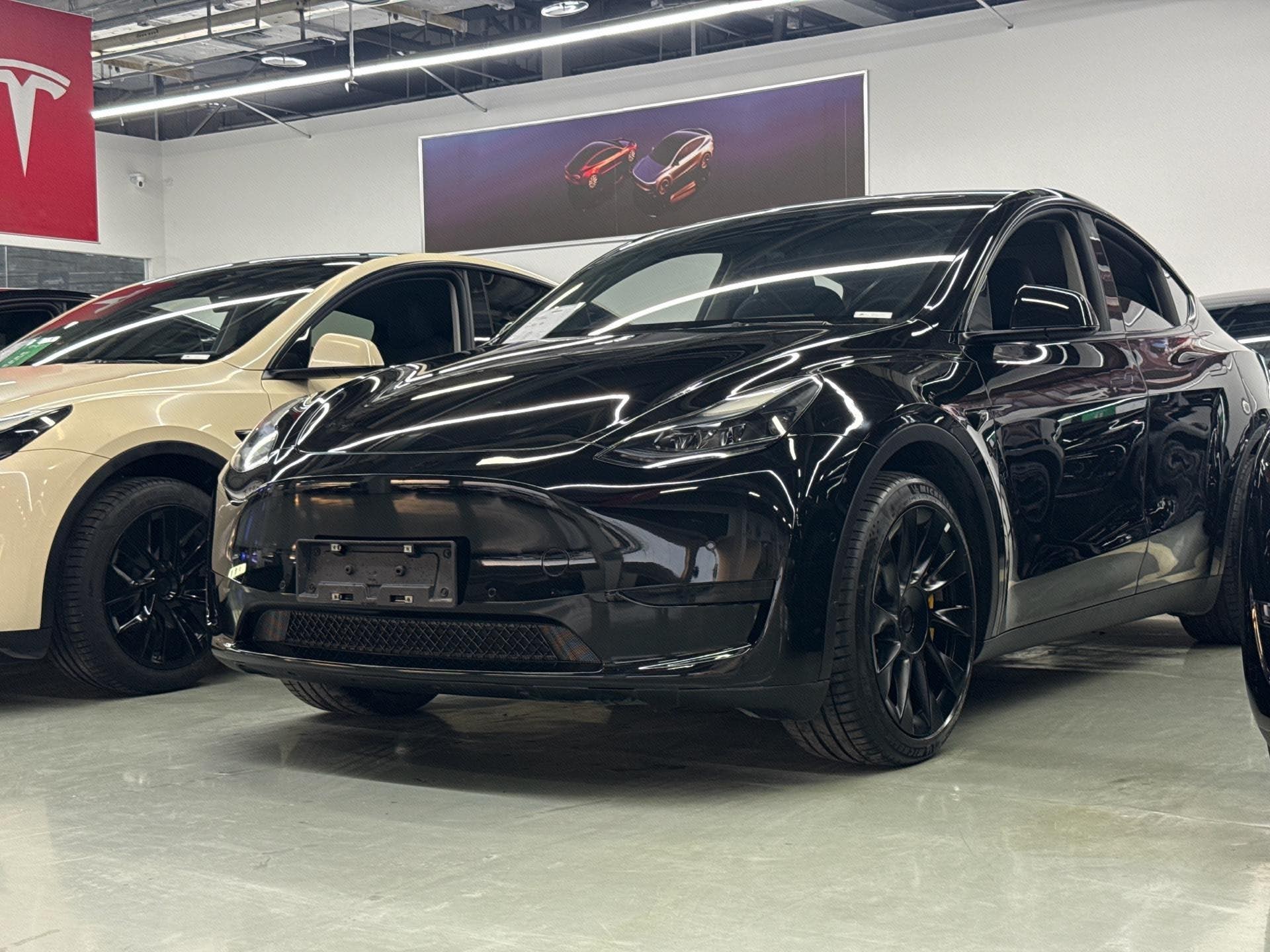 Tesla Model Y 2023 Tesla Model Y 2023 car image