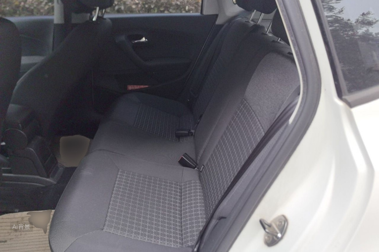 Volkswagen Polo 2015 car image #19