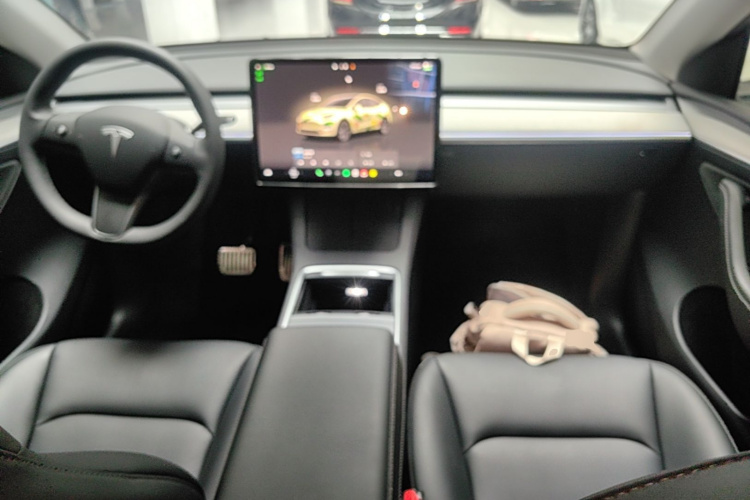 Tesla Model Y 2023 #10 Tesla Model Y 2023 car image #10