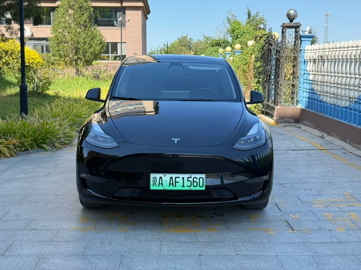 Tesla Model Y 2022 car image 