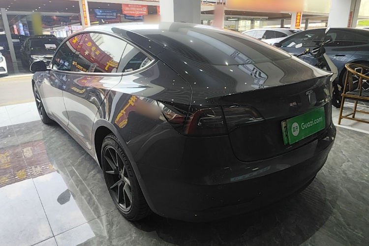 Tesla Model 3 2021 #5 Tesla Model 3 2021 car image #5