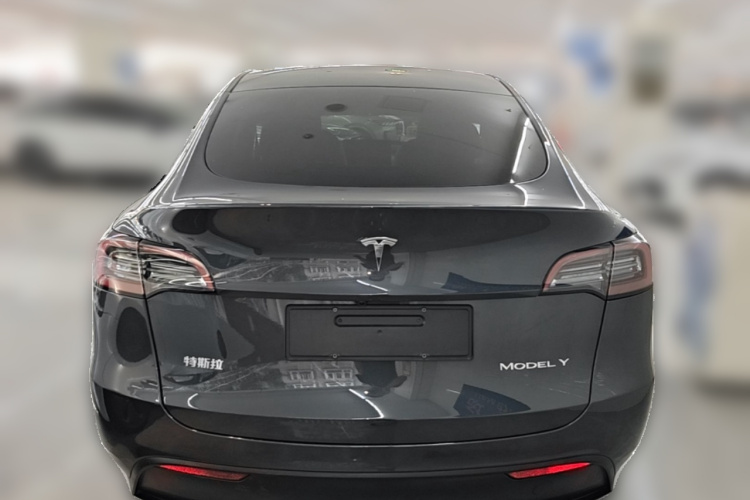 Tesla Model Y 2024 #6 Tesla Model Y 2024 car image #6