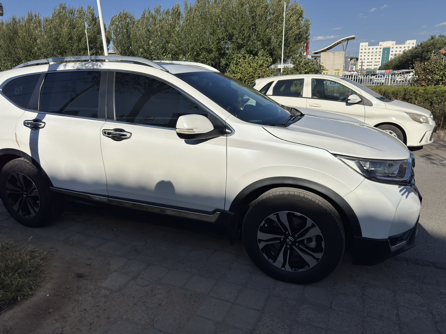 2019 immagine di auto #2