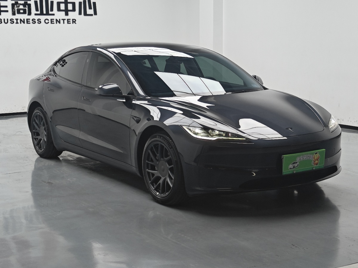 Tesla Model 3 2024 #3 Tesla Model 3 2024 car image #3