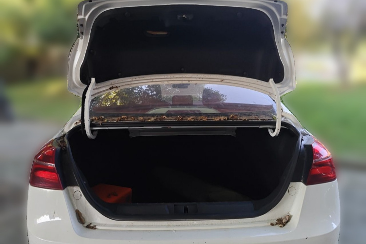 GEELY Emgrand 2019 car image #17
