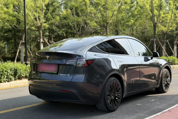Tesla Model Y 2025 car image #11