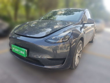 Tesla Model Y 2022 Tesla Model Y 2022 car image