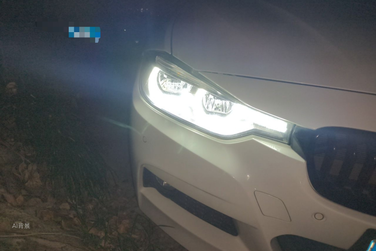BMW 3 Series 2019 #8 BMW 3 Series 2019 car image #8