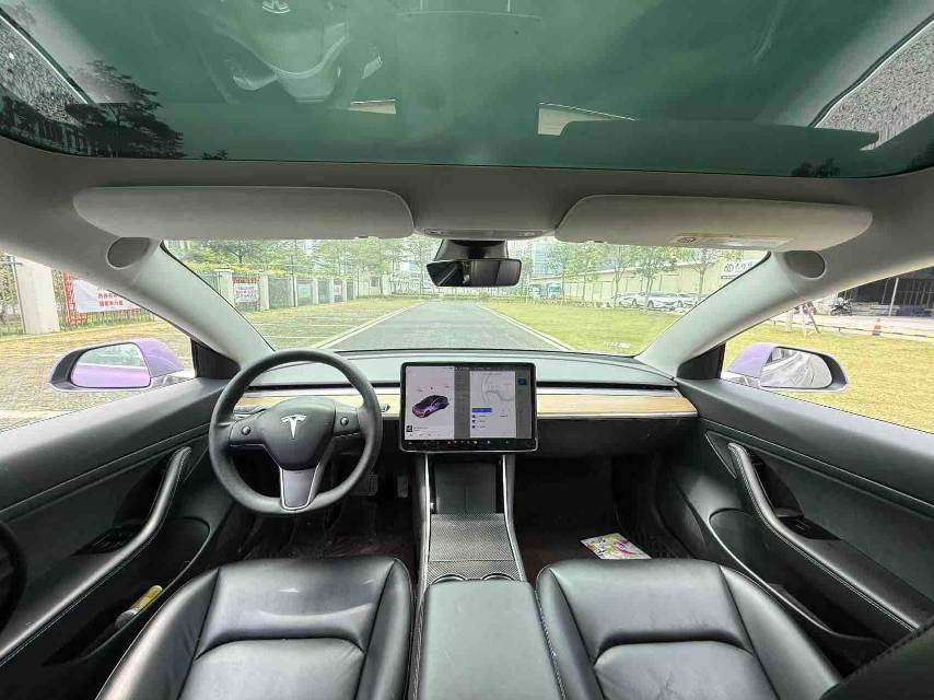 Tesla Model 3 2020 immagine di auto #7