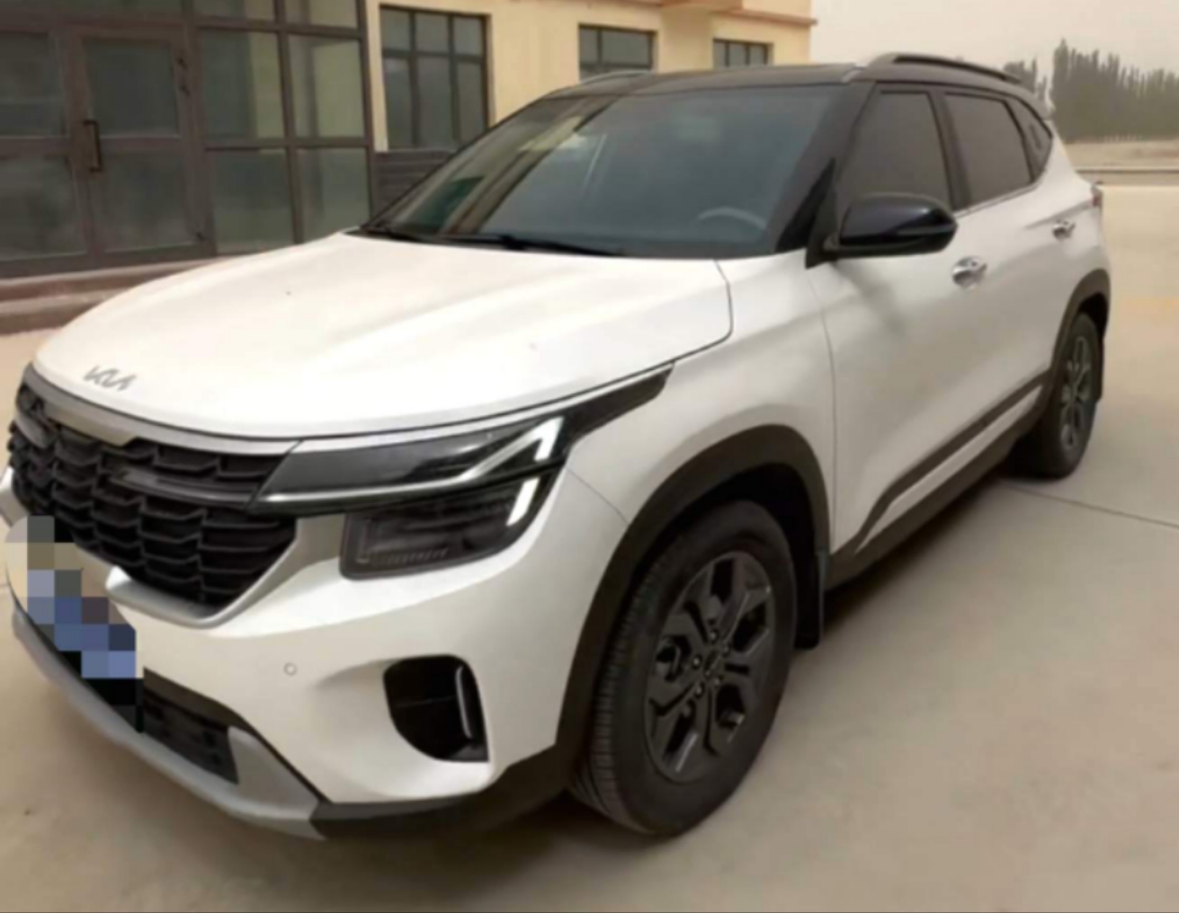Kia Seltos 2024 car image 