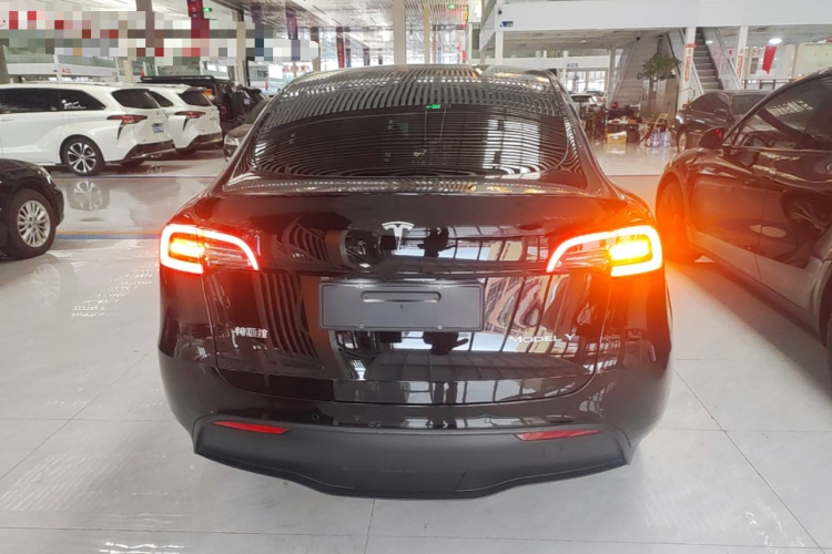 Tesla Model Y 2023 #6 Tesla Model Y 2023 car image #6