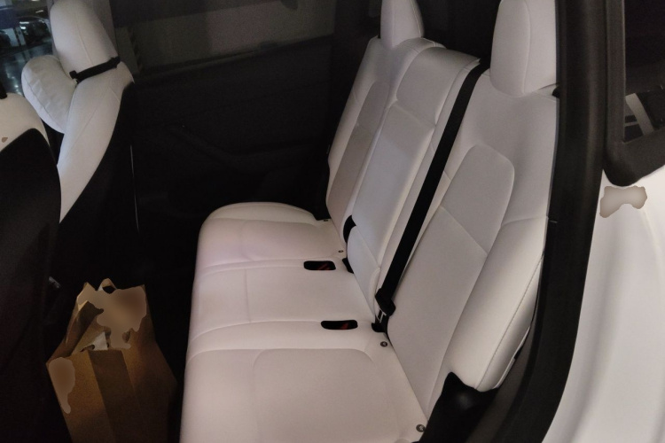 Tesla Model Y 2022 car image #10