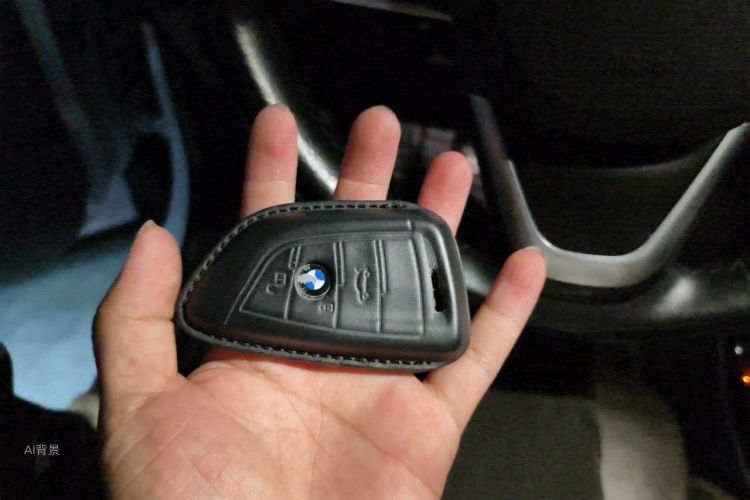 BMW X1 2019 car image #10