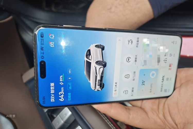 BYD Han 2022 #10 BYD Han 2022 immagine di auto #10