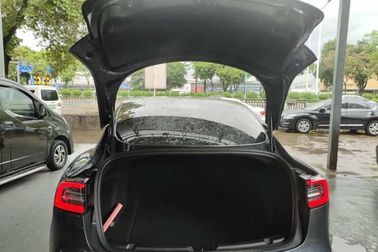 Tesla Model 3 2020 car image #19