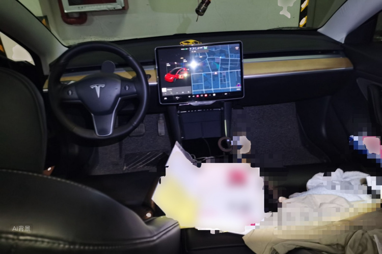 Tesla Model 3 2020 car image #11