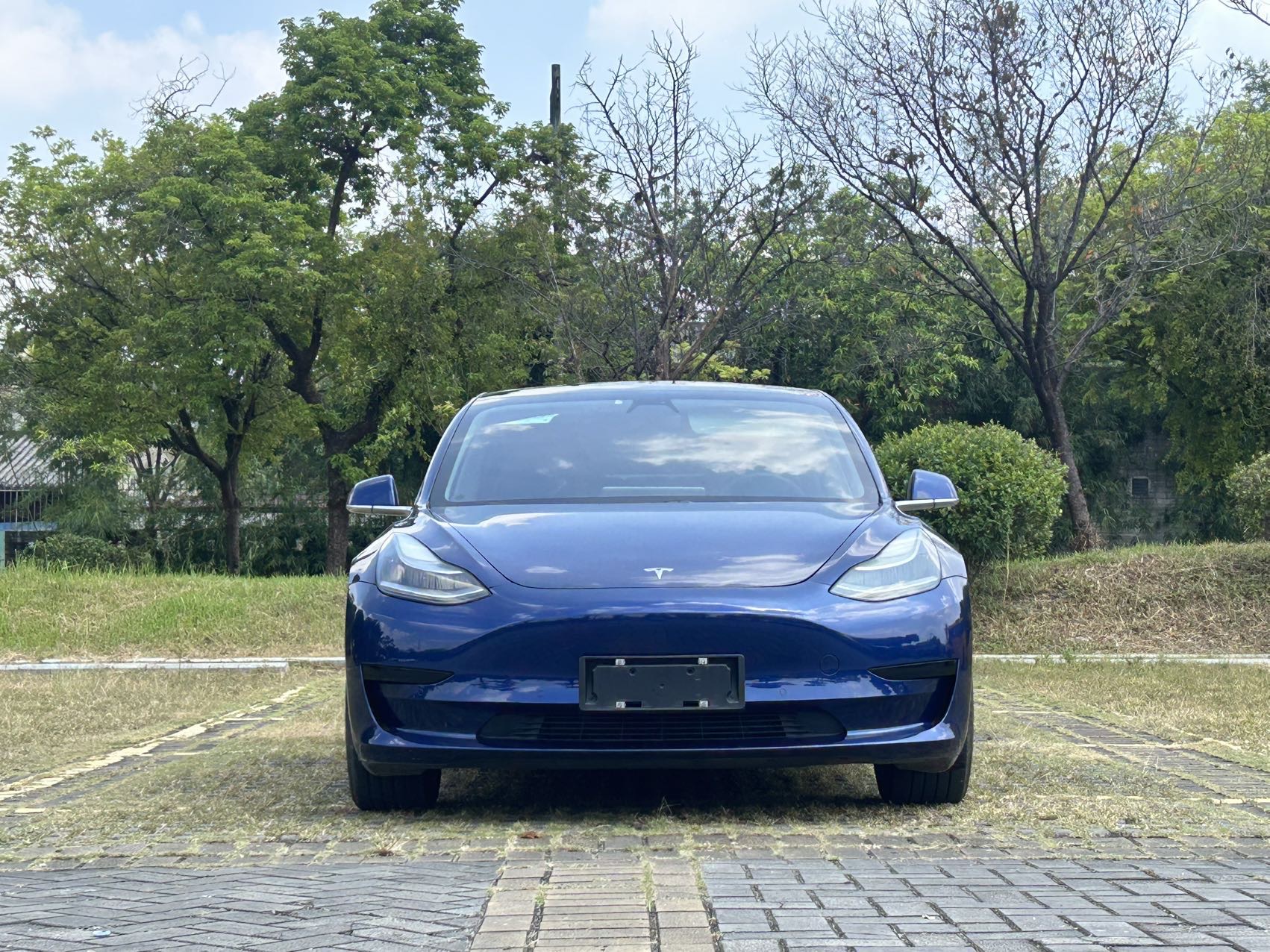 Tesla Model 3 2019 #2 Tesla Model 3 2019 car image #2