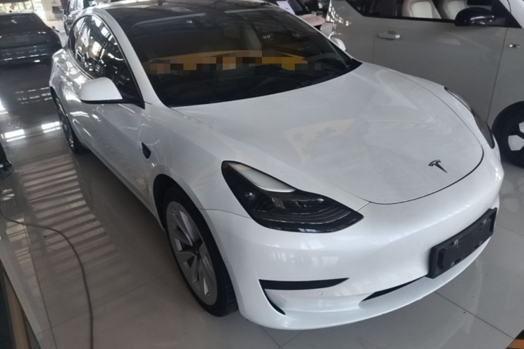 Tesla Model 3 2021 car image #4