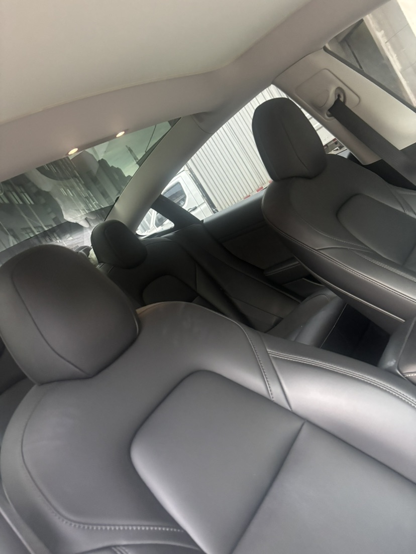 Tesla Model 3 2021 #8 Tesla Model 3 2021 car image #8