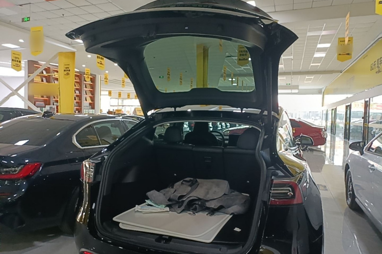 Tesla Model Y 2023 #21 Tesla Model Y 2023 car image #21