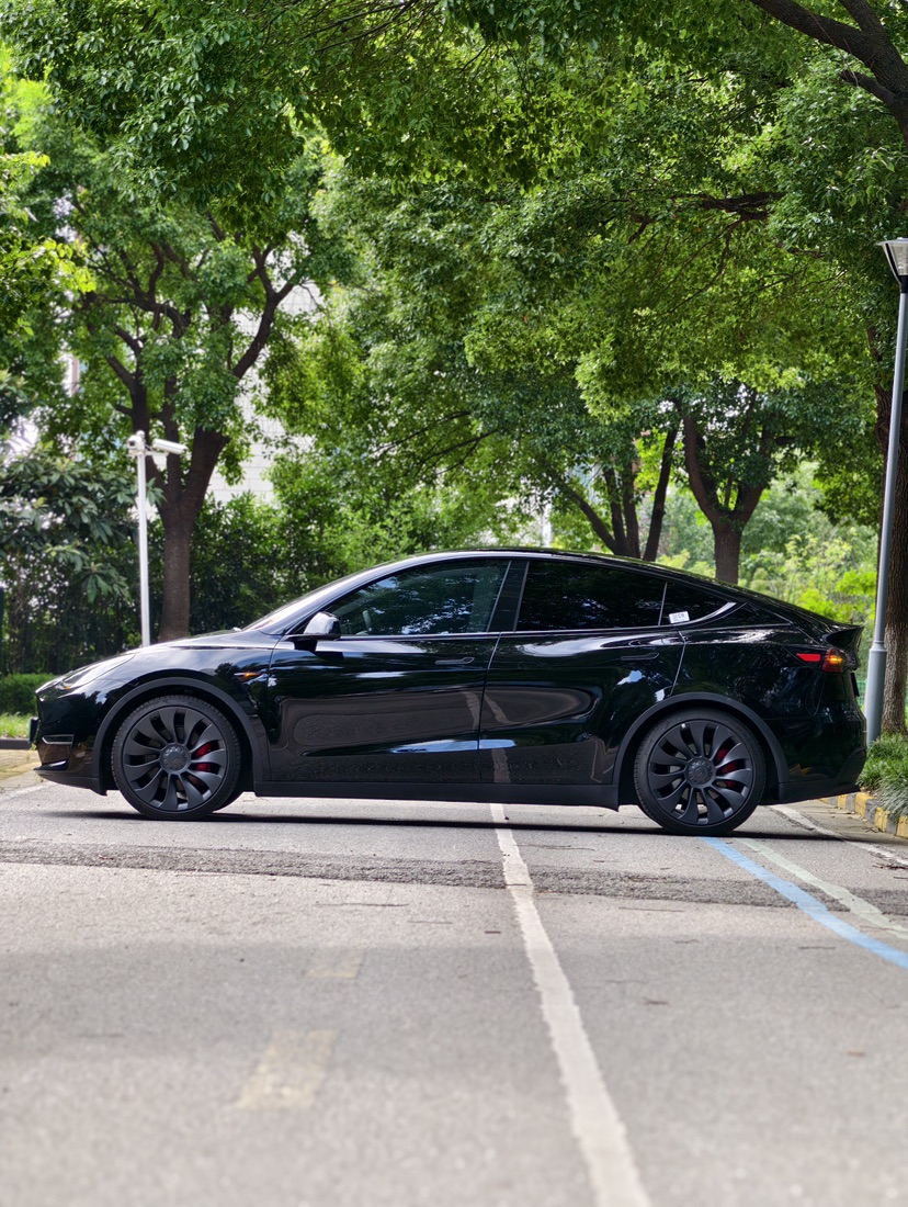 Tesla Model Y 2023 #4 Tesla Model Y 2023 car image #4