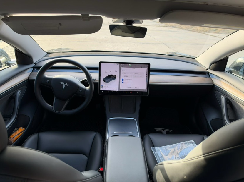 Tesla Model 3 2023 imagem de carro #6