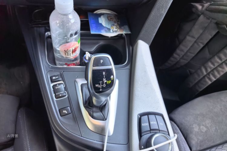 BMW 3 Series 2017 car image #16