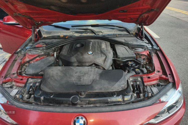 BMW 3 Series 2017 car image #22