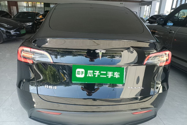 Tesla Model Y 2023 car image #6