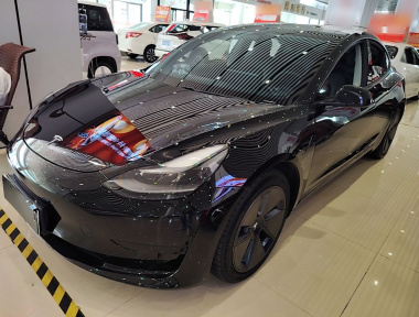 Tesla Model 3 2021 Tesla Model 3 2021 car image