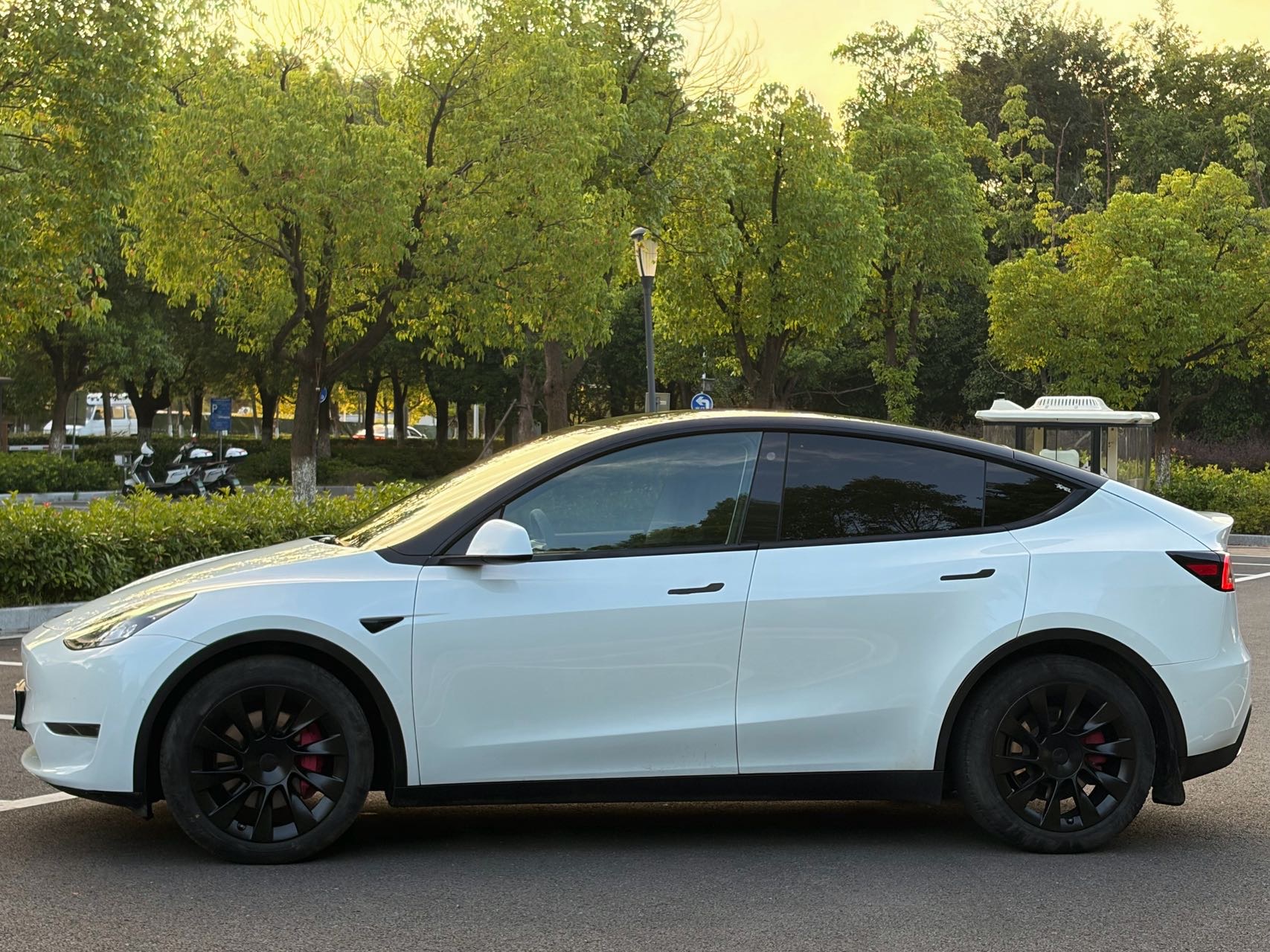 Tesla Model Y 2021 car image #5