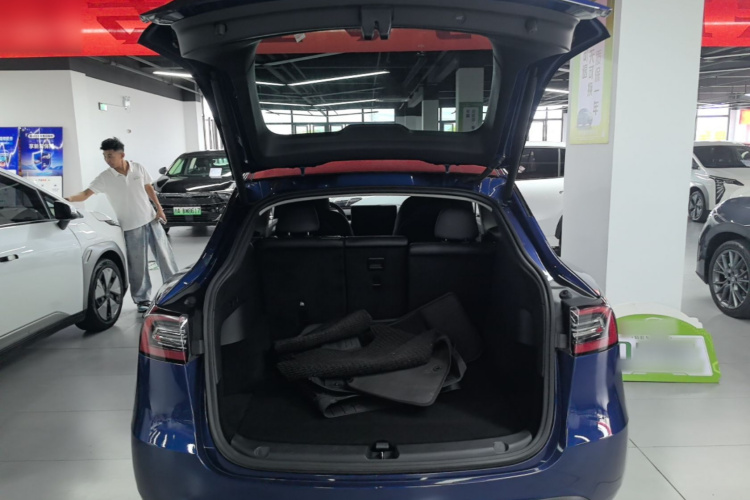Tesla Model Y 2021 immagine di auto #19