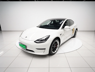 Tesla Model 3 2020 car image 