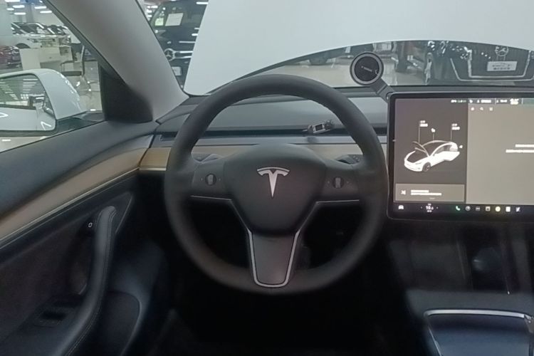 Tesla Model 3 2021 #11 Tesla Model 3 2021 car image #11