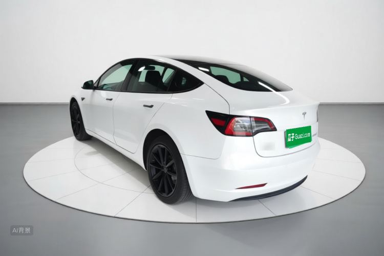 Tesla Model 3 2022 car image #5