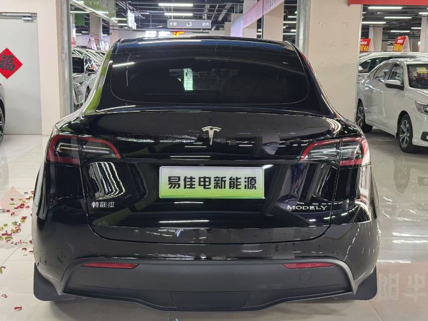 Tesla Model Y 2023 #8 Tesla Model Y 2023 car image #8